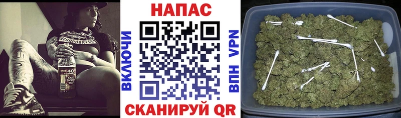 Бошки марихуана SATIVA & INDICA  где найти   Когалым 